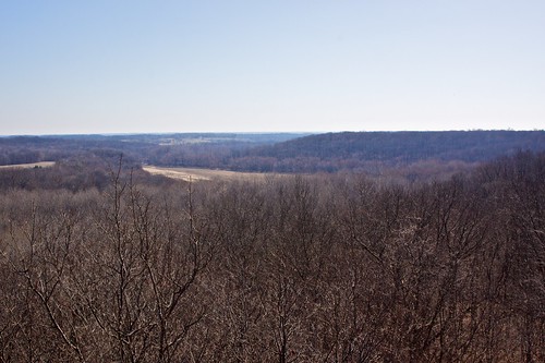 View from Forest Glen observation tower