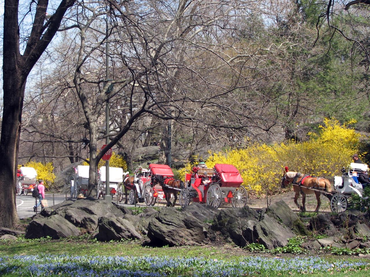 04.16.09 Central Park (18)