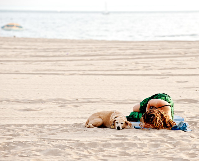 girl and pup sleeping on beach