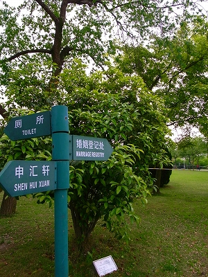 新虹橋中心公園