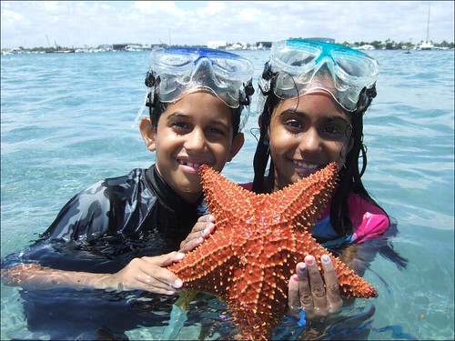 Armaan and Meher with a Cushion Starfish