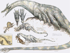 Giant krayt dragon sketches