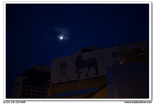 moon-horse-7348