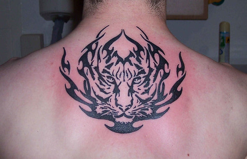 tribal tattoo upper back. Tiger Tribal Tattoos on the