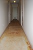 Carpet Removed - Back Hall
