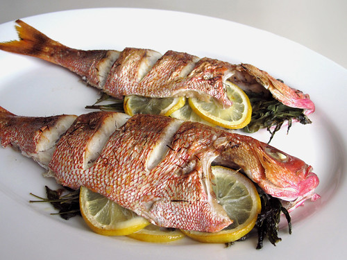 Gastronomer S Guide Baked Red Snapper With Lemon And Tarragon,Checkers Strategy To Win