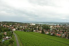 Aussich vom Bismarkturm in Konstanz mit Weinberg
