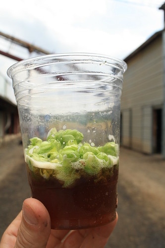 Now that's what we call a fresh hop beer!