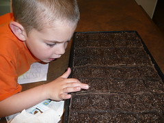 Kids planting seeds