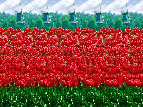 tulips1024