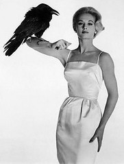 tippi hedron with raven