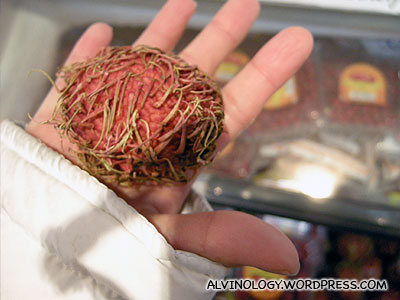 Rambutans are expensive in Japan and are sold in singular