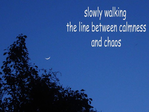 slowlywalking