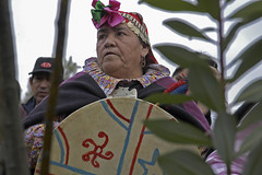 Celebración año nuevo mapuche Municipalidad de peñalolén
