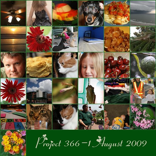 Project 3661 Mosaic August 2009