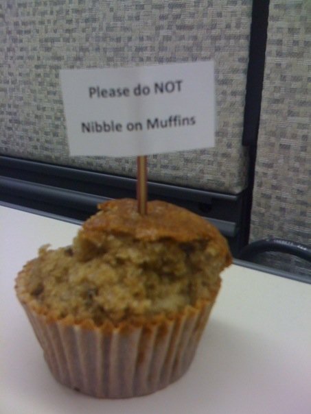 Please do NOT nibble on muffins.