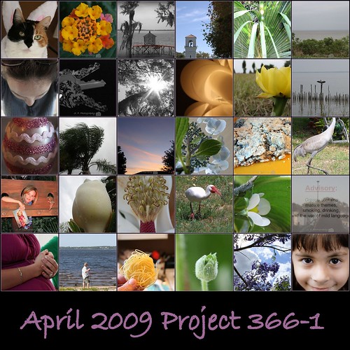 April 2009 Project 3661-1