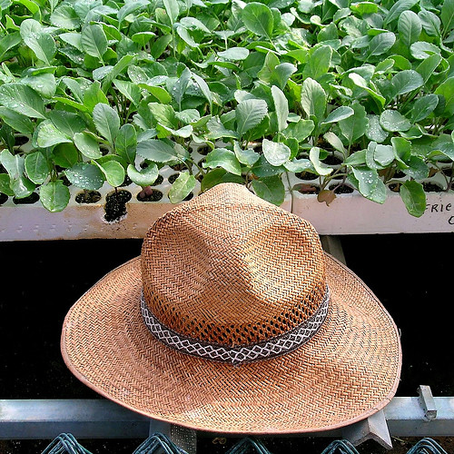 farmer's hat