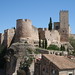 Castell de la Suda de Tortosa - Per "joanhilari"
