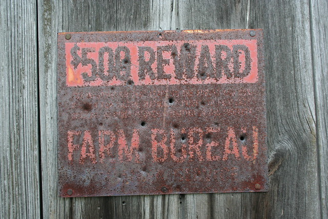 $500 Reward, Farm Bureau