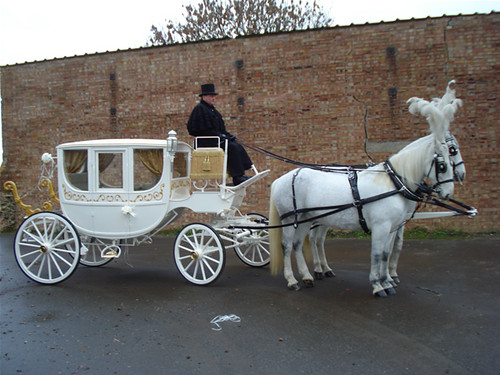 ivory and gold horsedrawn wedding carriage