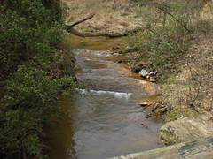 14 - walnut creek 2