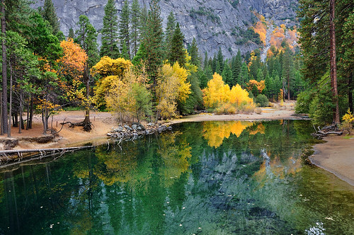 The Merced River reflecting Autumn, Yosemite