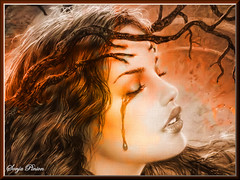 ~~~ Fairy Tears ~~~ (Help for Chile) par sonja_pinion
