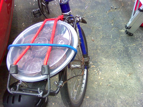 Best bicycle accessory ever.