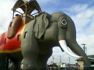 I love Lucy the Elephant in Margate, NJ! So big, can't fit her.