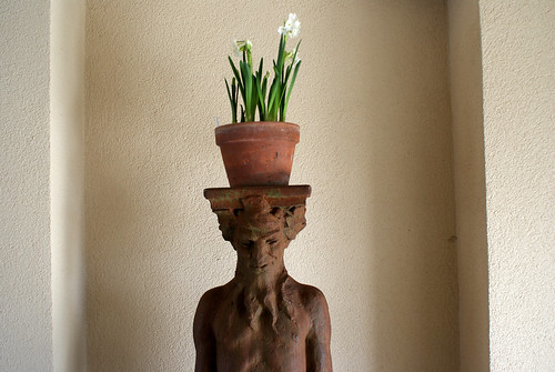 towerhill statue daffodil head