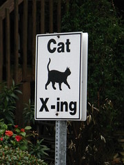 Cat crossing sign