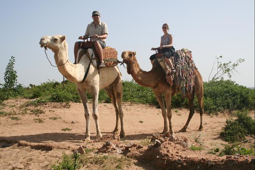 Camel Ride 2