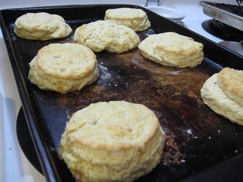 scones fresh out of the oven
