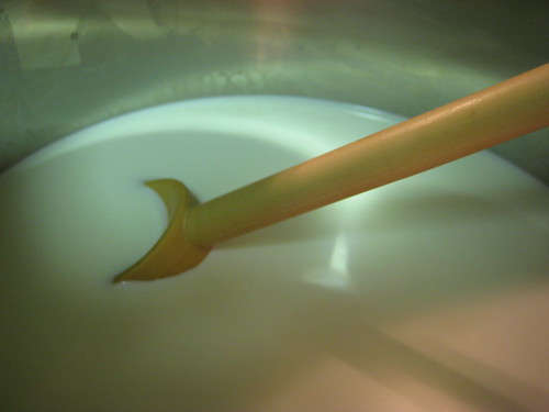 milk coming to a boil for ricotta cheese