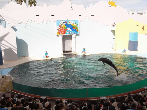 約600種の充実した水族館『須磨海浜水族園』＠神戸 (by 奈良に住んでみました)