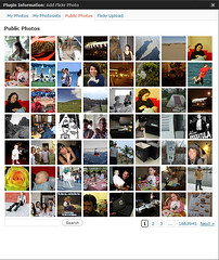 Flickr Manager 2.3 Browse Panel