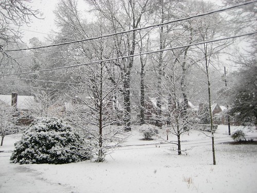 Atlanta Snow Day (Front Yard)