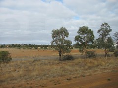 view from the train from Melbourne to Ballarat