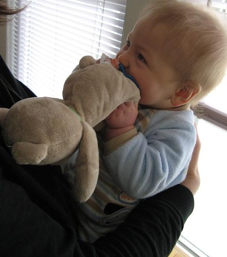 Playing with Teddy Bear