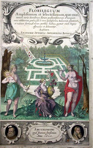 Emanuel Sweerts: Florilegium title page
