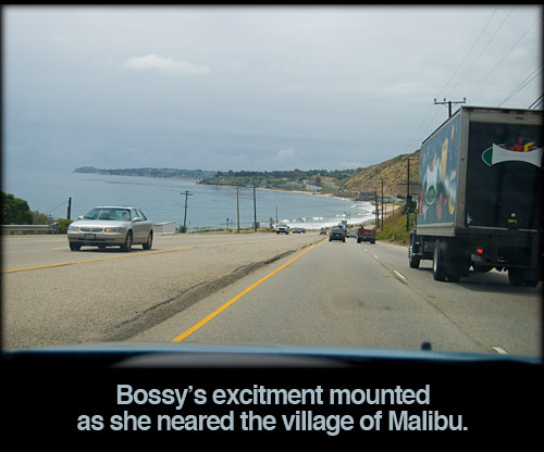 malibu-distance-iambossy