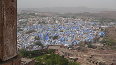 Jodhpur (The Blue City)