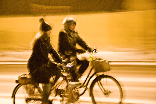 Snowstorm Bicycle Conversation