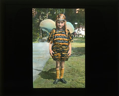 Girl dressed like a bee