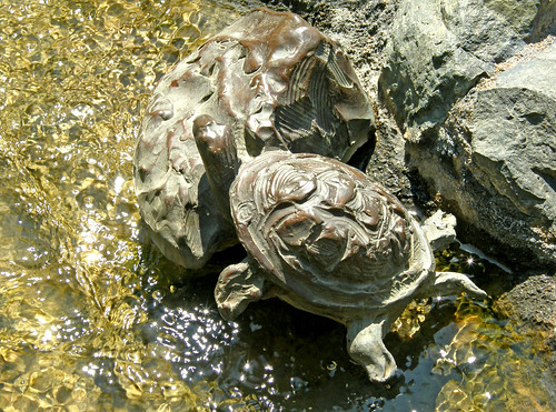 Bronze_Turtle