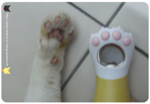 你拍攝的 貓腳開瓶器。