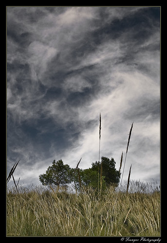 Furia De Nubes by Franyor