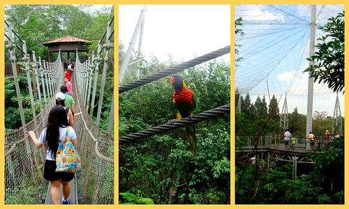 Jurong birdpark13