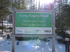 Rogers Pond, Marlborough Forest